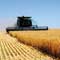 Sustainables, Efficiencies, Fuels