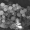 nano particulates