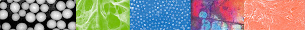 Nano Bio Materials