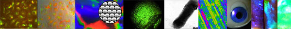 Nanoparticles in Soft Materials - Colloidal Systems
