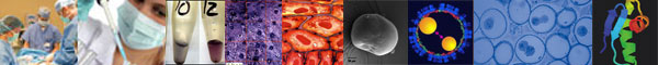 Nano Medical Sciences