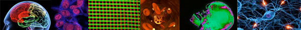 Neurology Nanotech