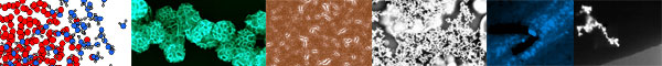 Soft Nanotechnology