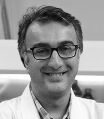 Amin Salehi-Khojin