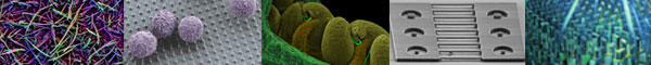 Biofuels and Bioproducts