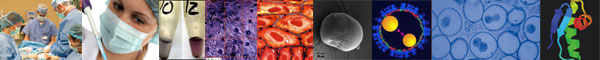 Cancer Nanotechnology