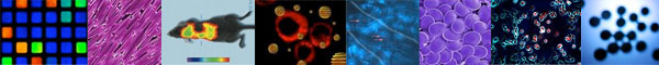 Nanoparticles in Imaging Technologies
